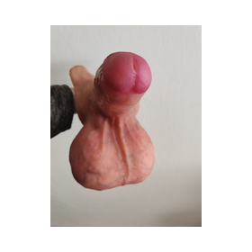 penis code 1001 with big balls