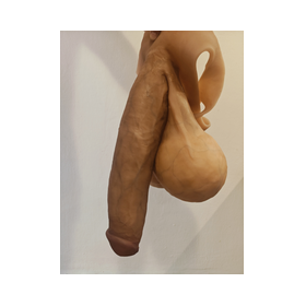 beautiful long penis with testicles 2