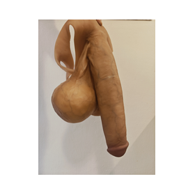 beautiful long penis with testicles 3