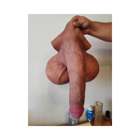 Flaccid penis code 1017 c