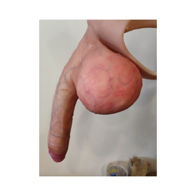 Flaccid penis code 1030 d